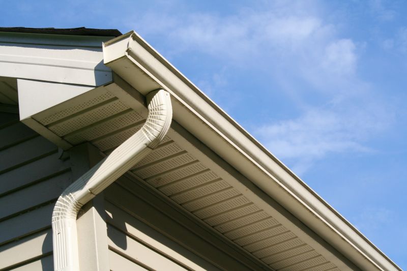 Gutter Inspection and Maintenance