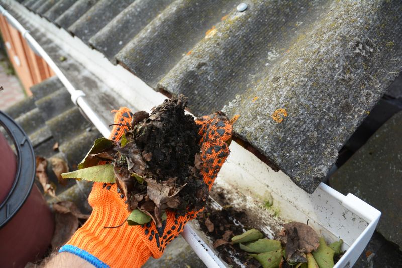 Gutter Cleaning in Action